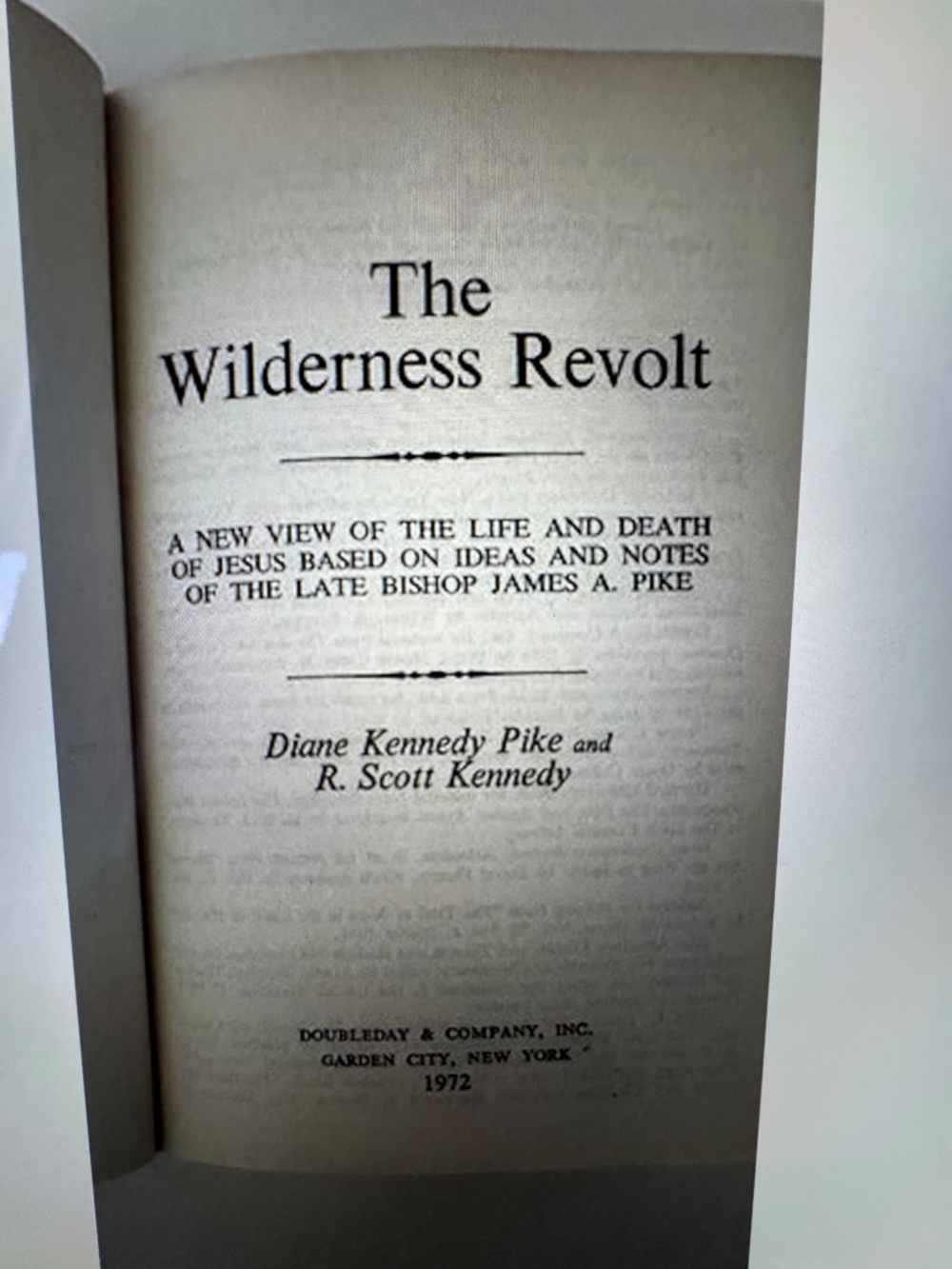 The Wilderness Revolt - Picture 4 of 5